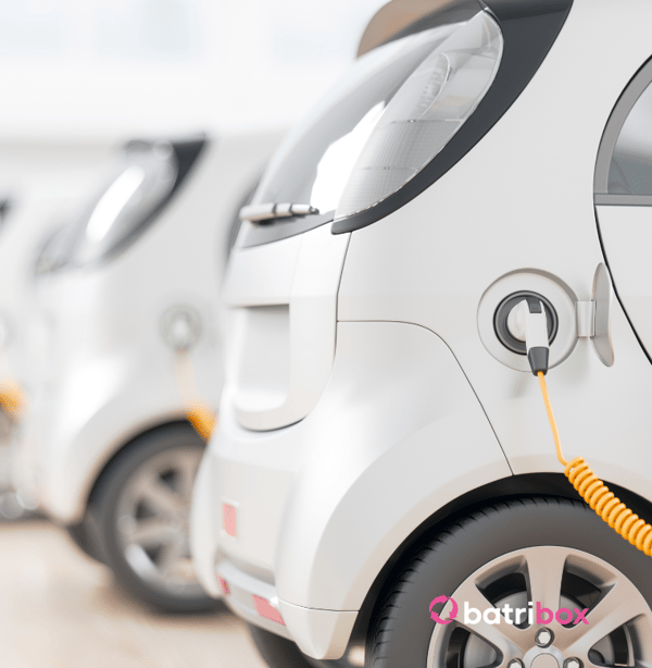 Site web _ header cat (1)