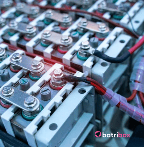 Site web _ header cat (2)