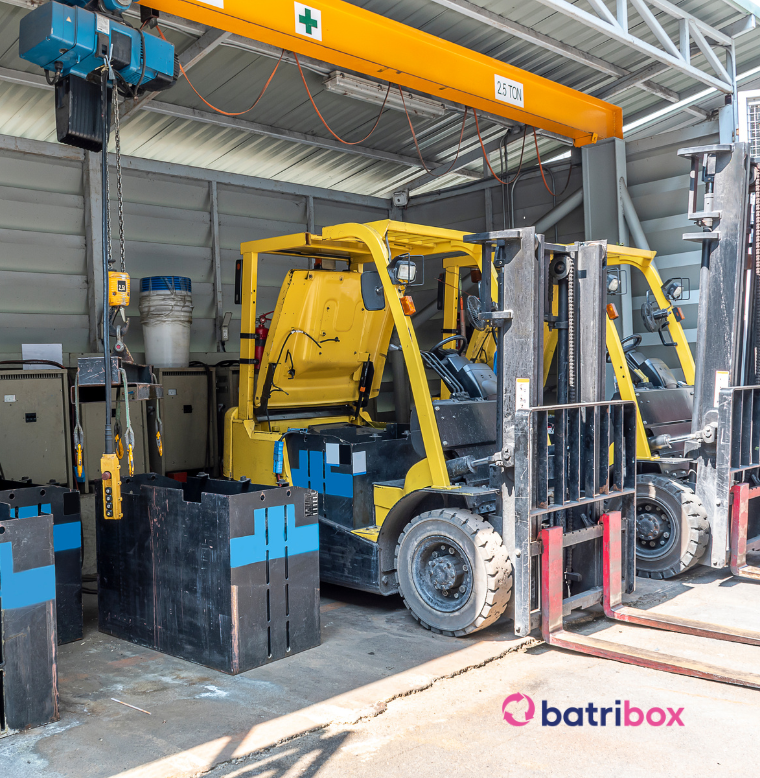 Site web _ header cat (3)