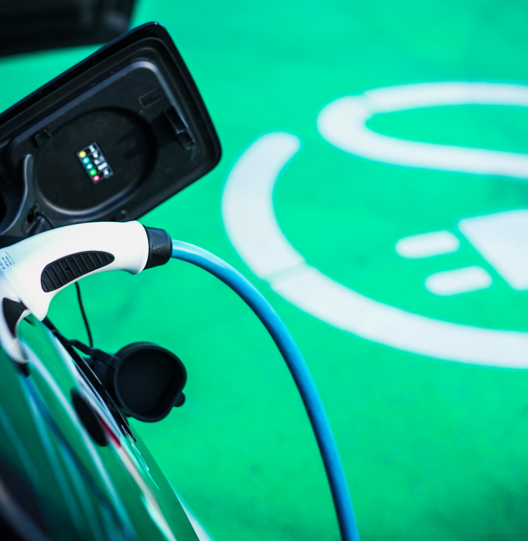 Site web _ header cat (6)