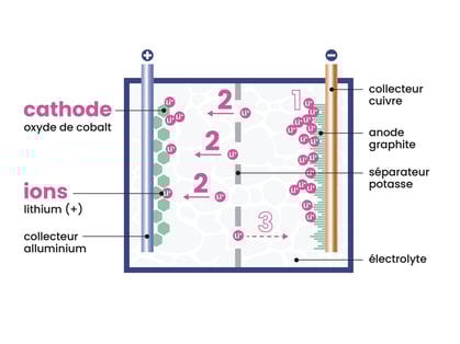 infographies_chiffres_K9